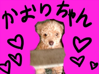 今日の香りちゃんかわええええ