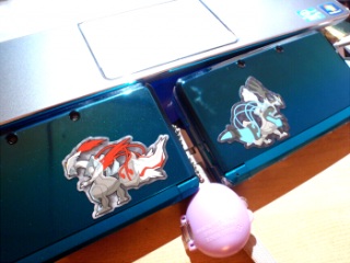 兄貴の3DSとおそろい